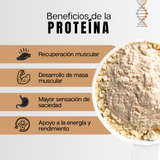 Proteína Aislada Vainilla