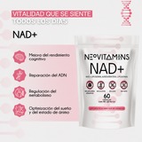 NAD +